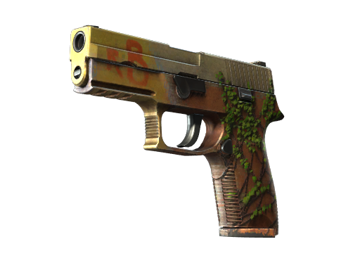 P250 | Inferno (Field-Tested)
